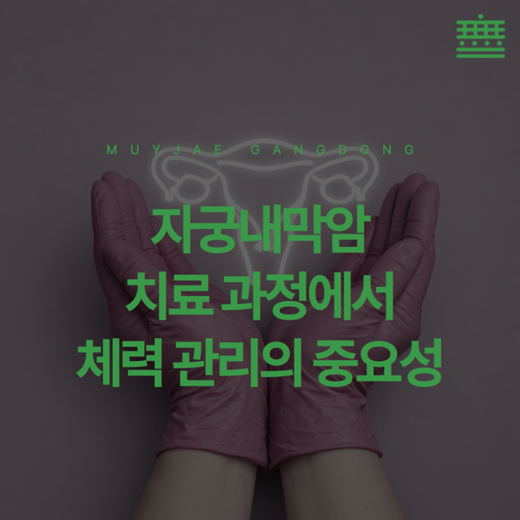 "자궁내막암 치료 과정, 체력 관리는 어떻게 해야 할까요?"