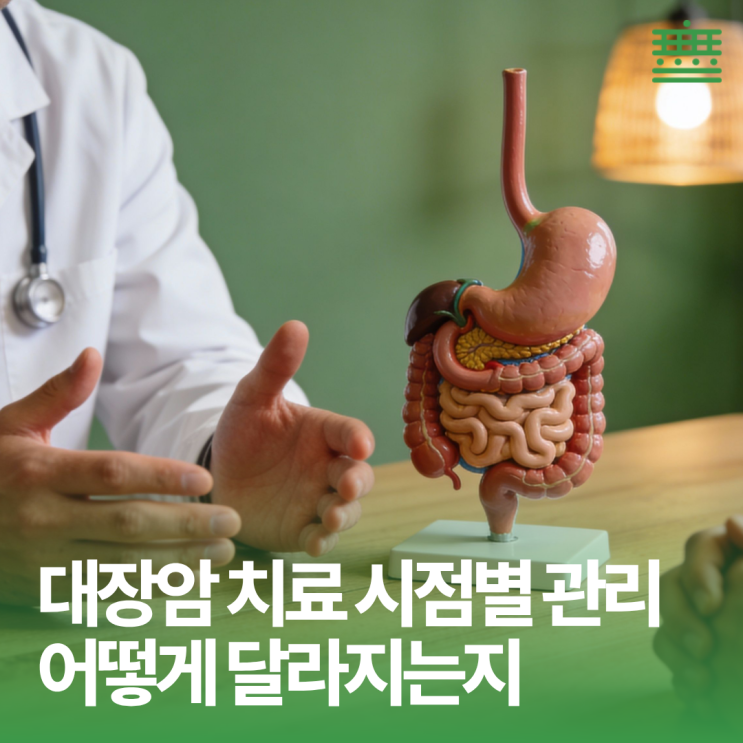 송파암재활 - 대장암 진단 늘어나는 흐름, 치료 시점별 관리가 갈린다