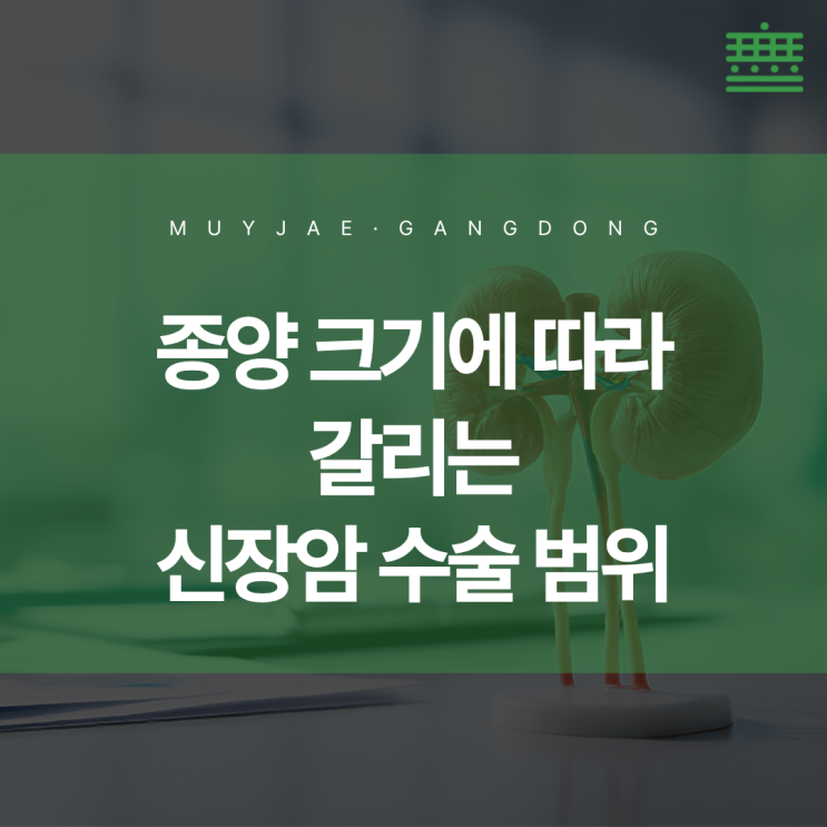 송파 암환자 요양 "신장암, 증상 없이 발견되는 사례가 늘어나는 이유"