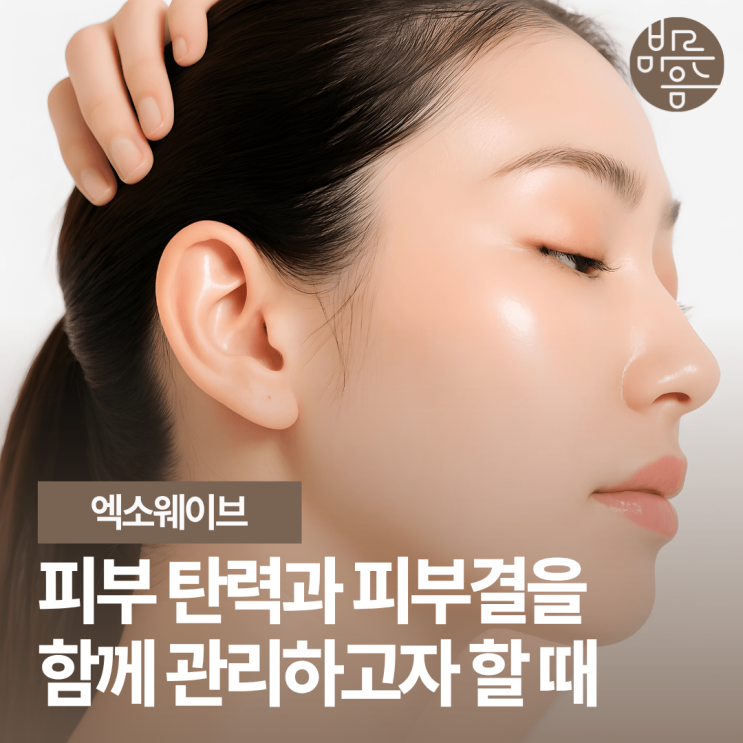 강서구 피부관리 피부 탄력과 피부결을 함께 관리하는 원리