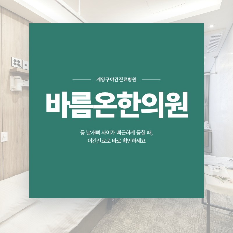 계양구야간진료병원, 등 날개뼈 사이가 뻐근하게 뭉칠 때, 야간진료로 바로 확인하세요