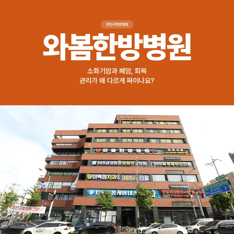 양천구한방병원, 소화기암과 폐암은 회복 관리가 왜 다른가요?