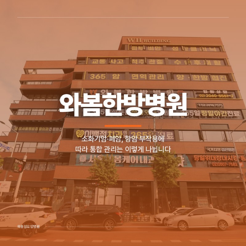 목동암요양병원, 소화기암·폐암, 항암 부작용에 따라 관리는 이렇게 나뉩니다