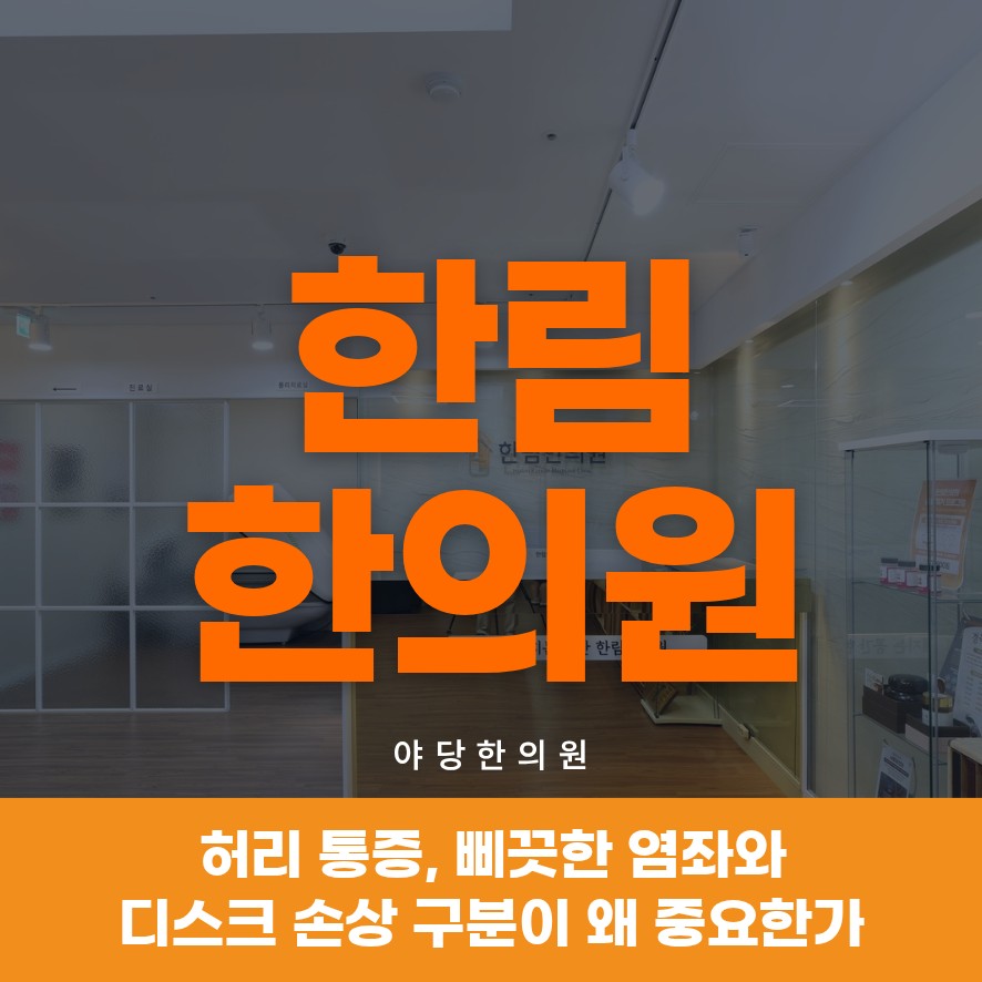 야당한의원, 허리 통증, 삐끗한 염좌와 디스크 손상 구분이 왜 중요한가